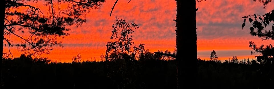 Marraskuun kuukausitiedote!/ November event info!